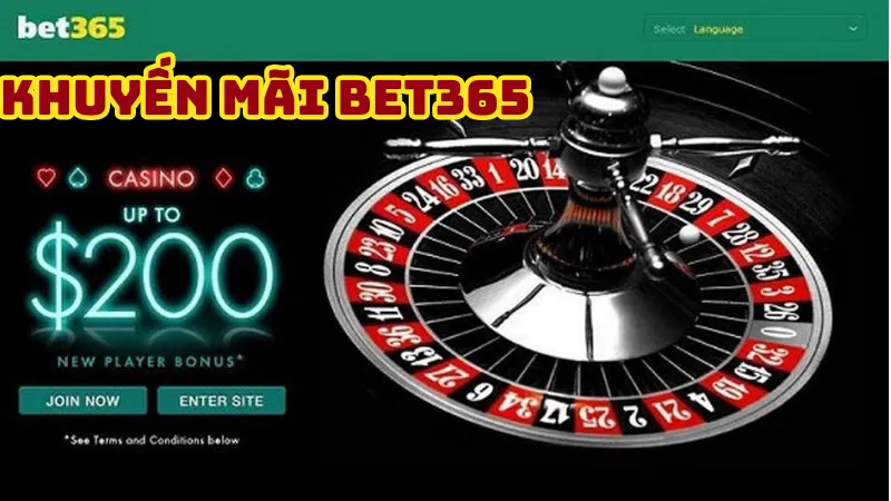 Đánh giá của người chơi về khuyến mãi của nhà cái bet365